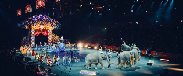 Découvrez le Cirque d'Hiver à Paris