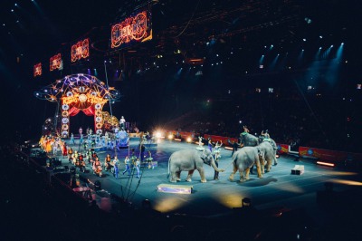 Découvrez le Cirque d'Hiver à Paris