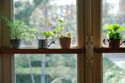House of Gardening; the countryside in Paris