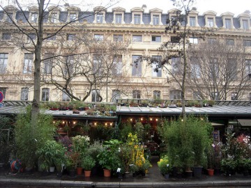 Marché aux fleurs et aux oiseaux sur l'Ile de la Cité